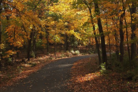 Enjoy Stunning Fall Foliage With One Of These 5 Autumn Hikes Near Nashville