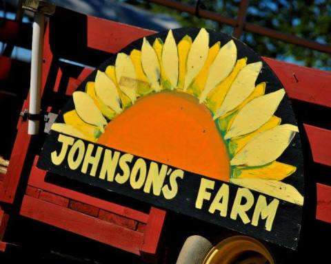 The Award-Winning Apple Pie From Johnson’s Corner Farm In New Jersey Is A Must Try