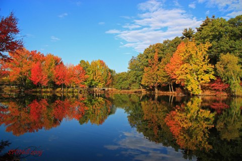 Visit The Lakes At Roger Williams Park In Rhode Island For Beautiful Views Of The Fall Colors