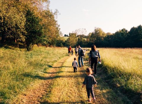 Enjoy A Colorful Autumn Walk Through Mt. Cuba Center In Delaware This Season