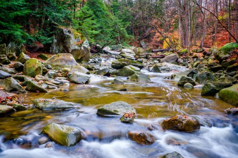 Brecksville Reservation In The Cleveland Metroparks Is A Fall Foliage Paradise