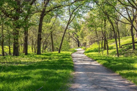 Kansas' Konza Prairie Is An Oasis Of Beauty Almost Anyone Can Hike