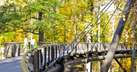 The Longest Elevated Canopy Walk In Georgia Can Be Found At The Atlanta Botanical Garden