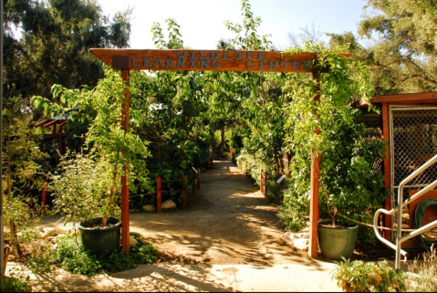 Meet Over 100 Rescued Animals From Around The World At The Wildlife Learning Center,  A Zoological Park In Southern California