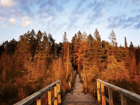 Minnesota's Fall Colors Are On Display At Lake Bemidji State Park, A Great Place For An Autumn Adventure