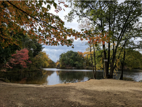 Visit Puffers Pond In Massachusetts, A Beautiful Beach With Its Very Own Waterfall