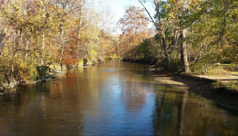 Paddle Down The Clinton River During Michigan’s Fall Foliage Season For A Natural Experience Like No Other