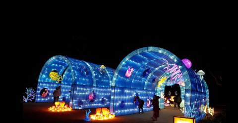 Moonlight Forest In Southern California Is A Magical Wonderland Of Dreamy Lights