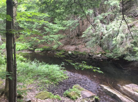 There’s A Secret Waterfall In Maine Known As Kezar Falls, And It’s Worth Seeking Out