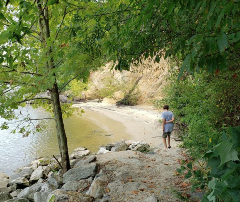 You Can Sleep In A Cozy Cabin And Search For Fossils On The Beach When You Visit Chippokes Plantation State Park In Virginia