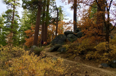 Grays Peak Trail Is One Of The Most Picturesque Fall Foliage Hikes In Southern California