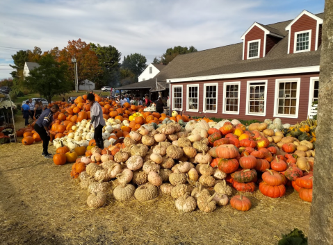 The 7 Best Places In New Hampshire To Get Your Apple Cider Donut Fix This Fall