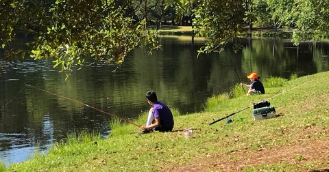 13 Fun Adventures You Can Have At South Carolina's Sesquicentennial State Park