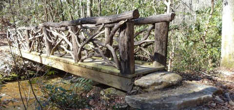 The New 1.7-Mile Beech Bottom Falls Trail In South Carolina Leads To A Beautiful Little Known Waterfall