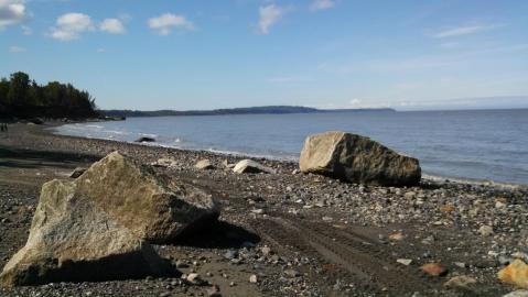 Beachcomb On The Secluded Beaches At Captain Cook State Recreation Area In Alaska