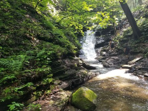 Conklin’s Gully Trail Near Buffalo Is An Adventurous Experience