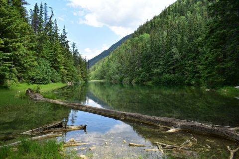 Experience Skagway's Waterfalls On The Beautiful Icy Lake Trail In Alaska