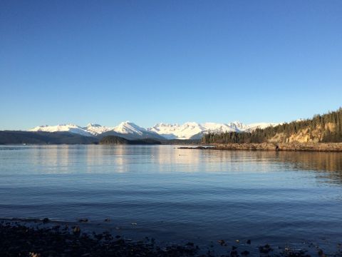 Enjoy The Boardwalks As You Hike The Outer Point Loop Trail To The Ocean In Alaska