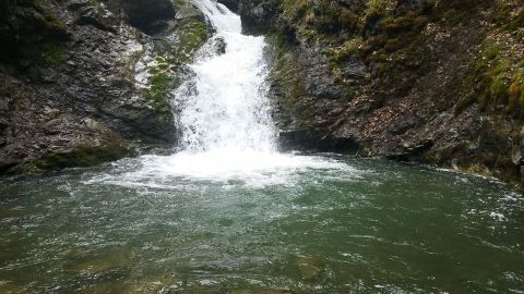 The 1.8 Mile Hike To Thunder Bird Falls In Alaska Is Short And Sweet