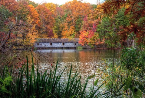 The 8 Best Places In Alabama To Experience Beautiful Autumn Colors