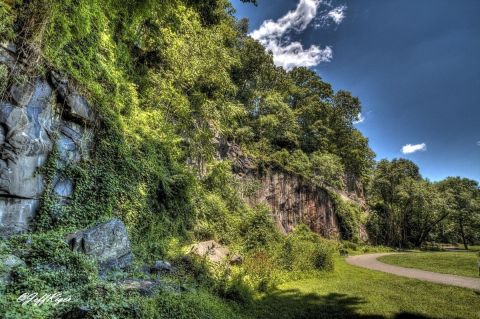 The Beautiful Alapocas Woods Trail Is An Easy 1.8-mile Hike In Delaware That's Great For Beginners And Kids