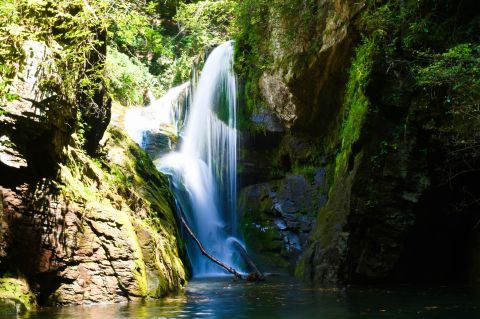 Hike To A Remote Waterfall On The 8.4-Mile Laurel Fork Falls Trail In South Carolina