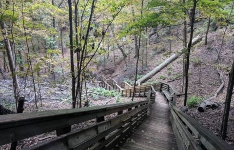 Sanctuary Woods Is The Most Peaceful Place To Experience Fall Foliage In Michigan