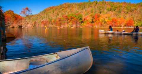 Paddle Down The Lower Mountain Fork River During Oklahoma's Fall Foliage Season For A Natural Experience Like No Other