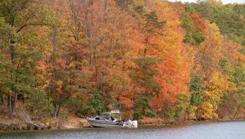 Visit Raystown Lake In Pennsylvania For An Absolutely Beautiful View Of The Fall Colors