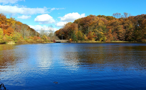 Discover An Enchanting Pumpkin Sail At Echo Lake Park In New Jersey