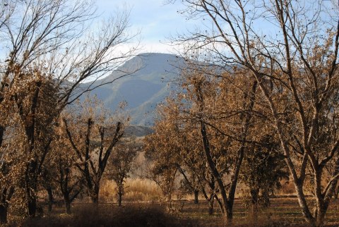 Nothing Says Fall Is Here More Than A Visit To Arizona's Charming Pecan Farm