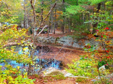 Find Peace At Ravenswood Park, A Colorful Swampy Woodland In Massachusetts