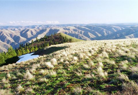 You'll See Views Of Three States From Fields Spring State Park In Washington