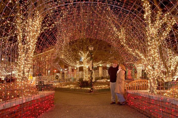 Christmas lights in Arkansas