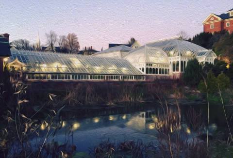 Escape The Cold With A Visit To The Botanic Garden In Massachusetts This Winter