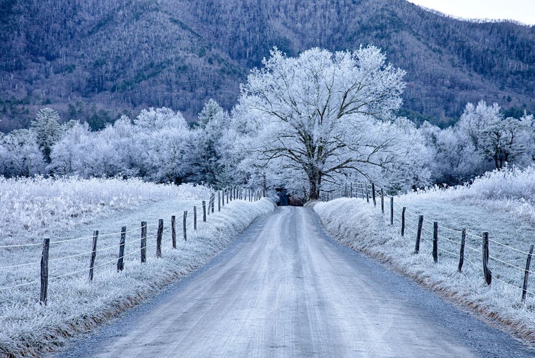 North Carolina