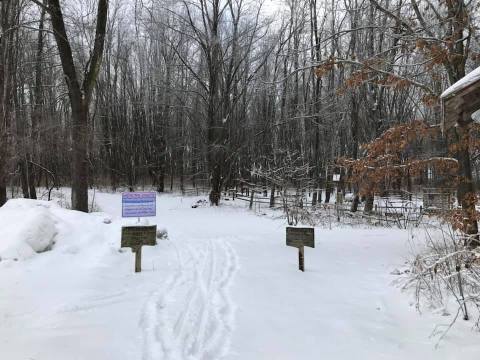 The Easy Snowshoe Trails At Sarett Nature Center Are Ideal For A Bright And Snowy Winter's Day