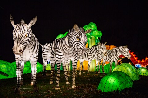 There’s A Chinese Lantern Festival Coming To New York And It’s Downright Magical