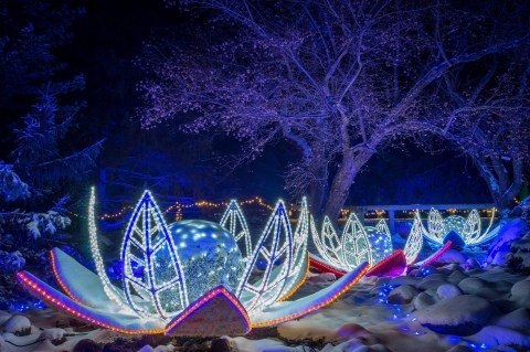 Winter Lights In Minnesota Is A Magical Wintertime Fairyland Experience