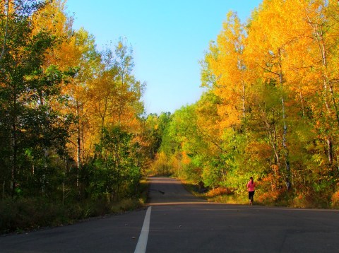 Cross Historic Bridges Over A Beautiful Creek On Your Drive Down Seven Bridges Road in Duluth, Minnesota