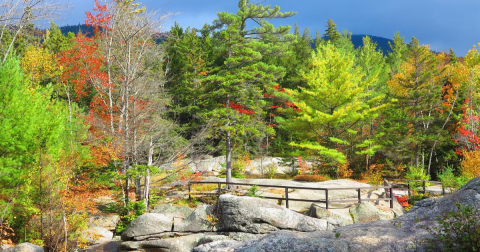 Screw Auger Falls In Maine Will Soon Be Surrounded By Beautiful Fall Colors