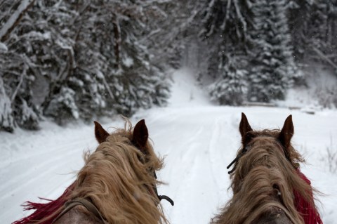 Enjoy Hot Cocoa And Carriage Rides In The Lorain County Metro Parks Near Cleveland This Winter