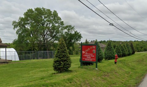 Take A Sleigh Ride Through An Idyllic Christmas Tree Farm At Biermans In Kansas