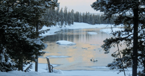 Be In Awe Of The Frozen Idaho Landscape At Harriman State Park