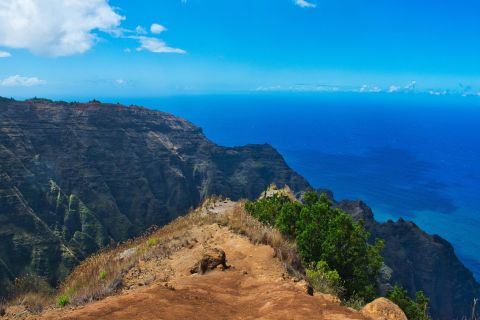 Travel Through Both The Rainforest And The Desert On Hawaii's Awaawapuhi Trail