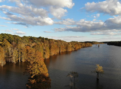 Enjoy Stunning Fall Foliage And Wildlife When You Take The 1.5-Mile Stumpy Lake Loop In Virginia Beach