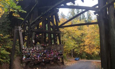 Bridge Trolls From Popular Legends Actually Exist Right Here In Oregon