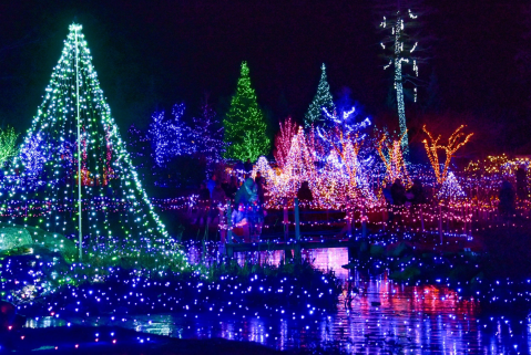 Even The Grinch Would Marvel At Gardens Aglow At The Coastal Maine Botanical Gardens