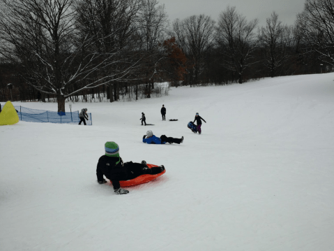 Here Are the 9 Best Places To Go Sled Riding Around Detroit This Winter