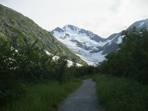 Enjoy An Easy Family Friendly Hike To The Gorgeous Byron Glacier In Alaska